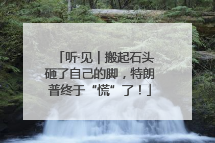听·见｜搬起石头砸了自己的脚，特朗普终于“慌”了！