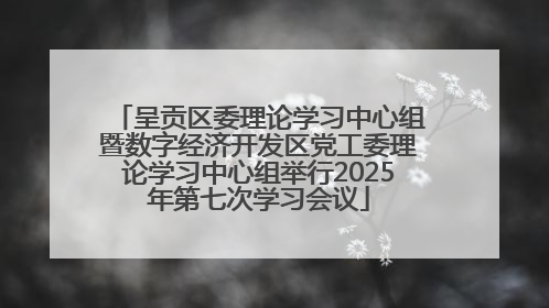 呈贡区委理论学习中心组暨数字经济开发区党工委理论学习中心组举行2025年第七次学习会议