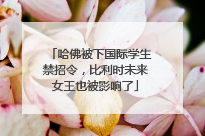 哈佛被下国际学生禁招令，比利时未来女王也被影响了