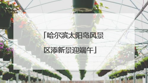 哈尔滨太阳岛风景区添新景迎端午