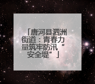 唐河县泗洲街道：青春力量筑牢防汛“安全堤”