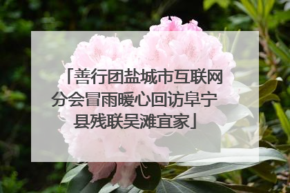 善行团盐城市互联网分会冒雨暖心回访阜宁县残联吴滩宜家