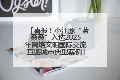 喜报！小江豚“蓝叒叒”入选2025年网络文明国际交流互鉴城市典型案例