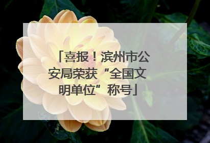 喜报！滨州市公安局荣获“全国文明单位”称号