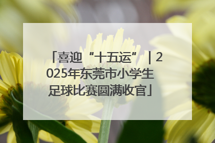 喜迎“十五运”｜2025年东莞市小学生足球比赛圆满收官