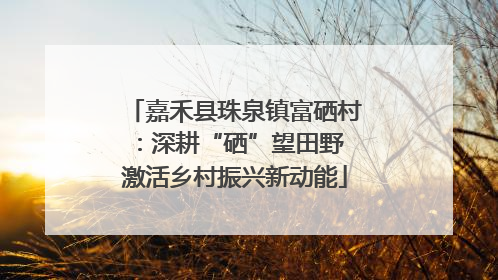 嘉禾县珠泉镇富硒村：深耕“硒”望田野 激活乡村振兴新动能