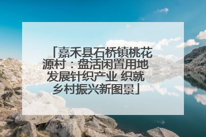 嘉禾县石桥镇桃花源村：盘活闲置用地发展针织产业 织就乡村振兴新图景