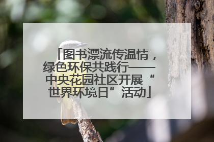 图书漂流传温情，绿色环保共践行——中央花园社区开展“世界环境日”活动
