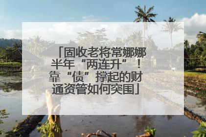 固收老将常娜娜半年“两连升”！靠“债”撑起的财通资管如何突围