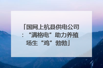 国网上杭县供电公司：“满格电”助力养殖场生“鸡”勃勃