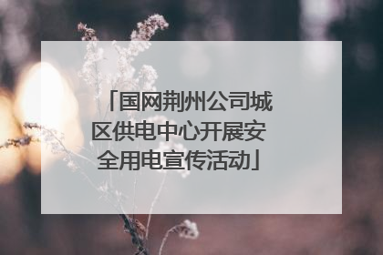 国网荆州公司城区供电中心开展安全用电宣传活动