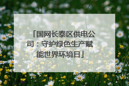 国网长泰区供电公司：守护绿色生产赋能世界环境日