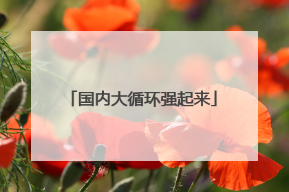 国内大循环强起来