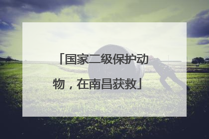 国家二级保护动物，在南昌获救