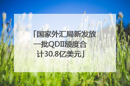 国家外汇局新发放一批QDII额度合计30.8亿美元