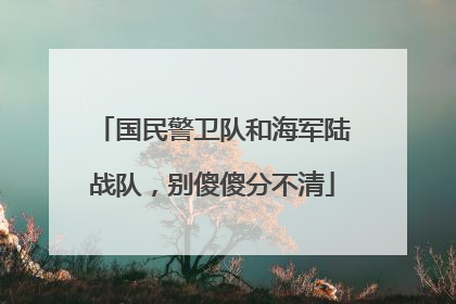 国民警卫队和海军陆战队，别傻傻分不清