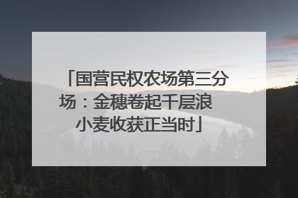 国营民权农场第三分场：金穗卷起千层浪 小麦收获正当时