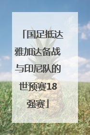 国足抵达雅加达备战与印尼队的世预赛18强赛