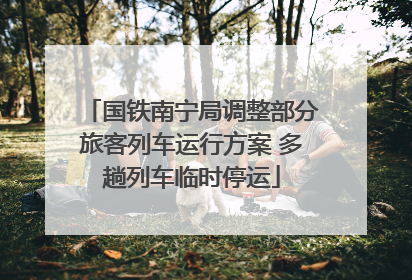 国铁南宁局调整部分旅客列车运行方案 多趟列车临时停运