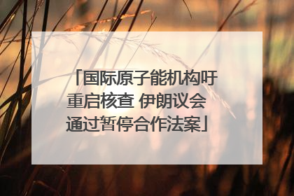 国际原子能机构吁重启核查 伊朗议会通过暂停合作法案