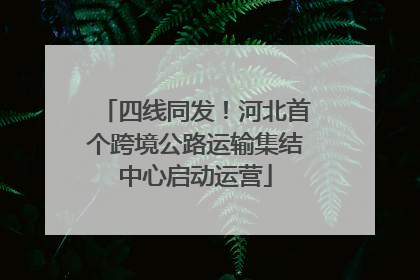 四线同发！河北首个跨境公路运输集结中心启动运营