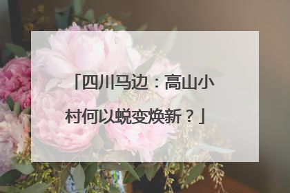 四川马边：高山小村何以蜕变焕新？
