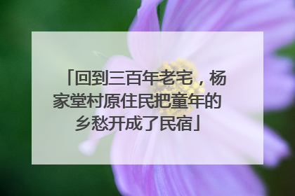 回到三百年老宅，杨家堂村原住民把童年的乡愁开成了民宿