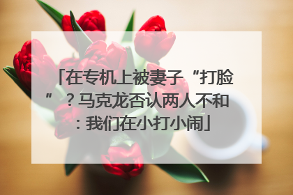 在专机上被妻子“打脸”？马克龙否认两人不和：我们在小打小闹