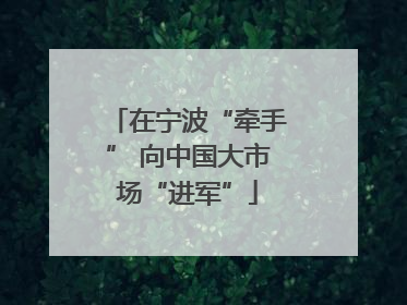 在宁波“牵手” 向中国大市场“进军”