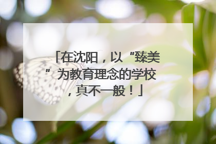 在沈阳，以“臻美”为教育理念的学校，真不一般！