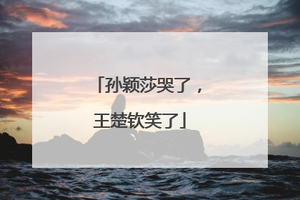 孙颖莎哭了，王楚钦笑了