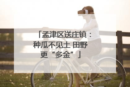 孟津区送庄镇：种瓜不见土 田野更“多金”