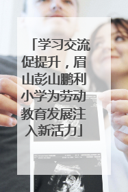 学习交流促提升，眉山彭山鹏利小学为劳动教育发展注入新活力
