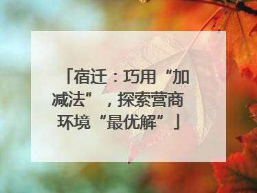 宿迁：巧用“加减法”，探索营商环境“最优解”