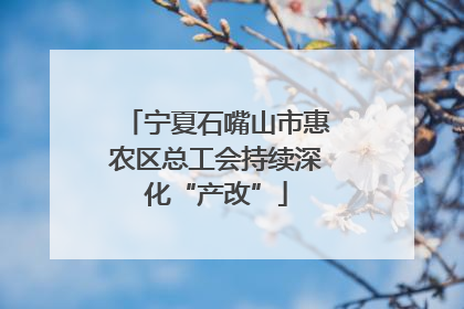 宁夏石嘴山市惠农区总工会持续深化“产改”