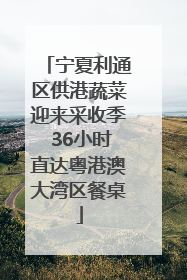 宁夏利通区供港蔬菜迎来采收季 36小时直达粤港澳大湾区餐桌