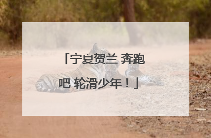 宁夏贺兰 奔跑吧 轮滑少年！