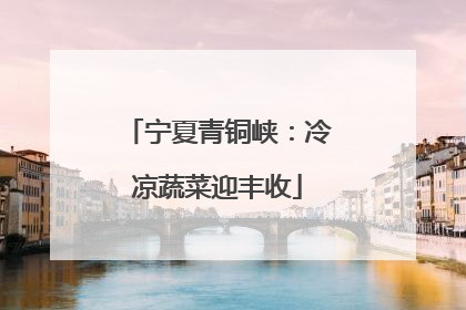 宁夏青铜峡：冷凉蔬菜迎丰收