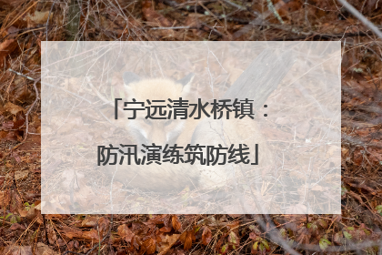 宁远清水桥镇：防汛演练筑防线