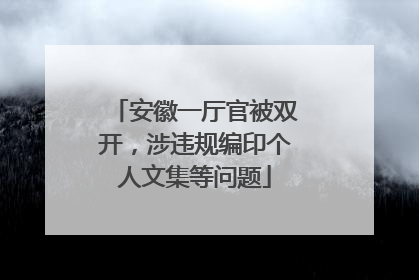 安徽一厅官被双开，涉违规编印个人文集等问题