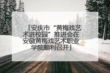 安庆市“黄梅戏艺术进校园”推进会在安徽黄梅戏艺术职业学院顺利召开