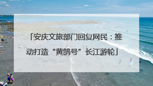 安庆文旅部门回复网民：推动打造“黄鹄号”长江游轮