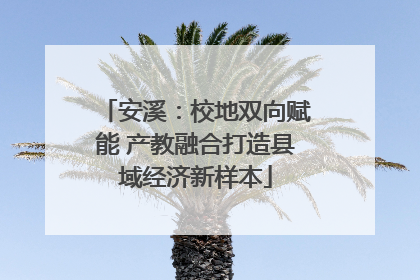 安溪：校地双向赋能 产教融合打造县域经济新样本
