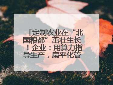 定制农业在“北国粮都”茁壮生长！企业：用算力指导生产，扁平化管理种地