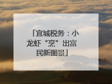 宜城税务：小龙虾“烹”出富民新图景