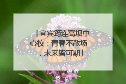 宜宾筠连蒿坝中心校：青春不散场，未来皆可期