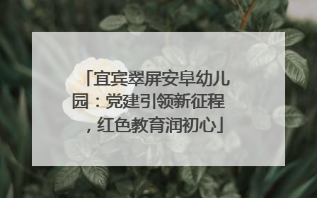 宜宾翠屏安阜幼儿园：党建引领新征程，红色教育润初心