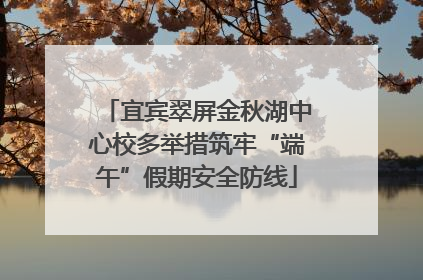 宜宾翠屏金秋湖中心校多举措筑牢“端午”假期安全防线