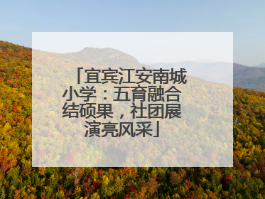 宜宾江安南城小学：五育融合结硕果，社团展演亮风采