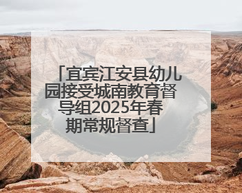 宜宾江安县幼儿园接受城南教育督导组2025年春期常规督查
